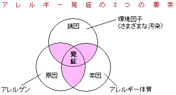 アレルギー発症の3つの要素